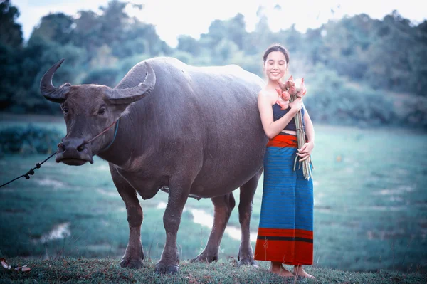 Thajské starověké mladé ženy s buffalo na venkově — Stock fotografie