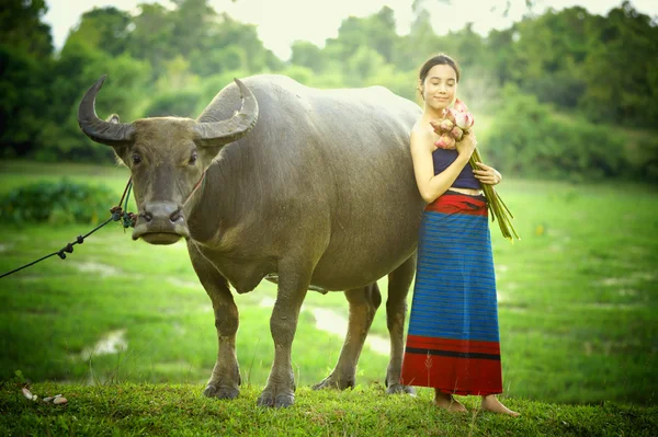 Thajské starověké mladé ženy s buffalo na venkově — Stock fotografie