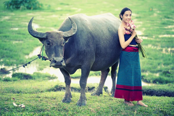 Tailandese antico giovani donne con bufalo su rurale — Foto Stock