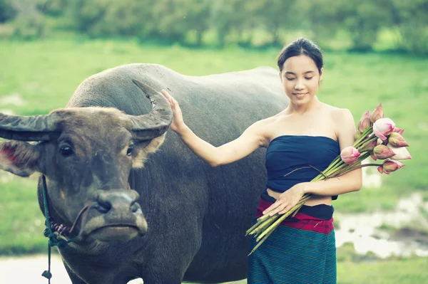農村の水牛と古代タイの若い女性 — ストック写真