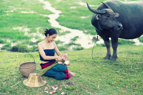 農村の水牛と古代タイの若い女性 — ストック写真
