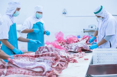 kesim et Mezbahada çalışan işçiler fabrikada