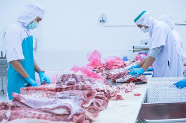 kesim et Mezbahada çalışan işçiler fabrikada