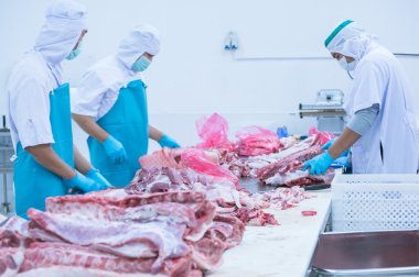 kesim et Mezbahada çalışan işçiler fabrikada