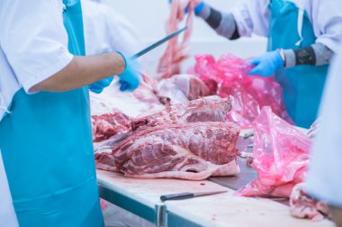 kesim et Mezbahada çalışan işçiler fabrikada