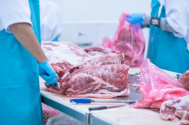 kesim et Mezbahada çalışan işçiler fabrikada