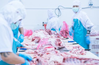 kesim et Mezbahada çalışan işçiler fabrikada