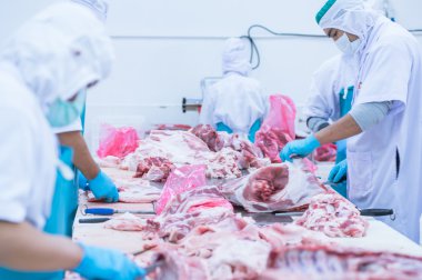 kesim et Mezbahada çalışan işçiler fabrikada