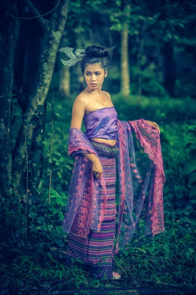 Азиатка в тайской серии "Ланна", культура идентичности Тайла — стоковое фото