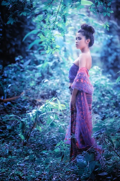 Donna asiatica che indossa Thai serie Lanna, cultura identità di Thail — Foto Stock