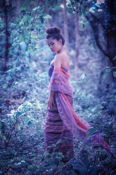 Mujer asiática vistiendo la serie Thai Lanna, cultura de identidad de Thail — Foto de Stock