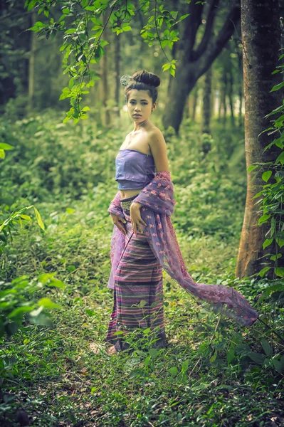Ázsiai nő visel Thai Lanna sorozat, thai kulturális identitás — Stock Fotó