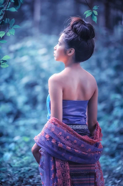 Mulher asiática vestindo tailandês Lanna série, cultura de identidade de Thail — Fotografia de Stock