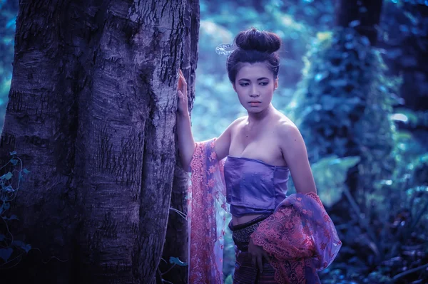 Азіатські жінки носять тайський Ланна серії, ідентичність культури Thail — стокове фото