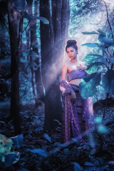 Aziatische vrouw dragen Thai Lanna serie, identiteit cultuur van Thail — Stockfoto