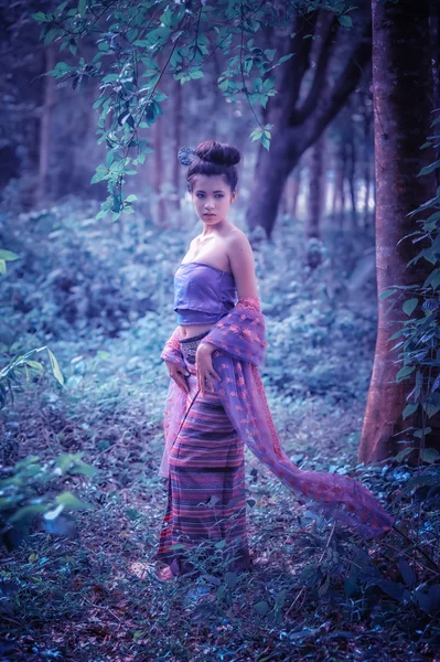 Mujer asiática vistiendo la serie Thai Lanna, cultura de identidad de Thail —  Fotos de Stock