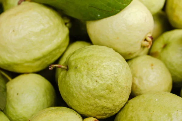 Guava till salu i thailand. — Stockfoto