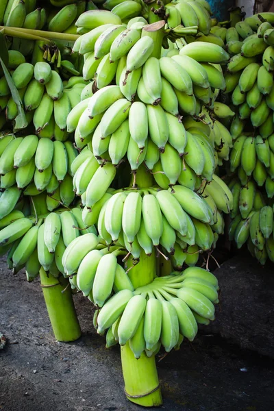 바나나의 무리. — 스톡 사진