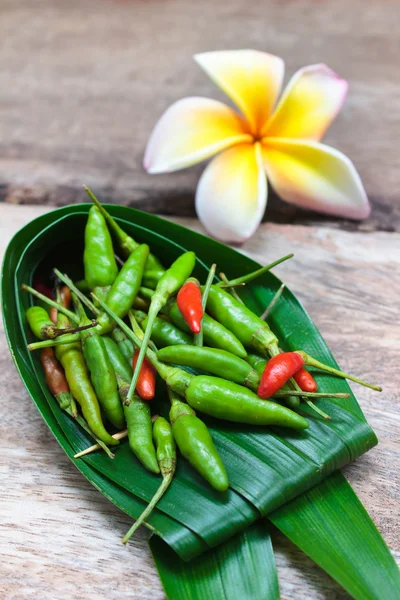 Chilli papričky na dřevěném pozadí. — Stock fotografie