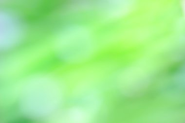 Doğal yeşil parlak arka plan bulanıklık.