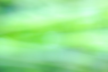 Doğal yeşil parlak arka plan bulanıklık.