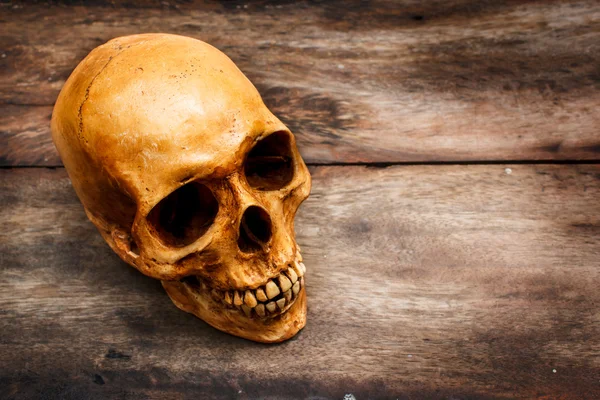 Bir kafatası insan ile natürmort.