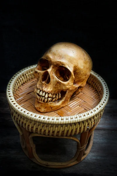 Still life with a skull human. — Stock Photo, Image