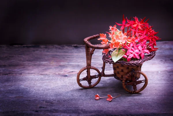 Still life with beautiful flowers. — Stock Photo, Image