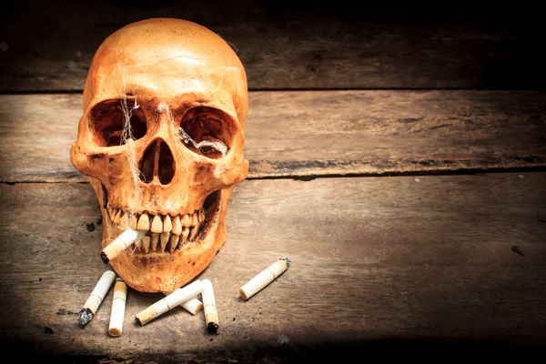 Κρανίο με τσιγάρα, νεκρή φύση. — Φωτογραφία Αρχείου