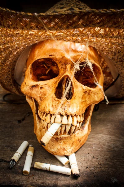 Skull with cigarettes, still life. — Stock Photo, Image