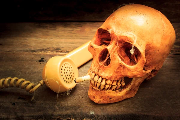 Skull with cigarette, still life. — Stock Photo, Image