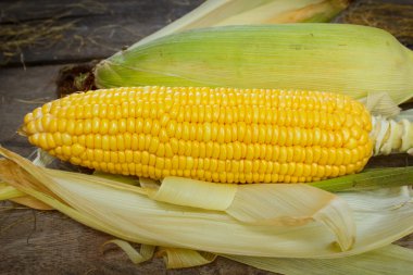 Ahşap arka plan, Natürmort mısır koçanı.