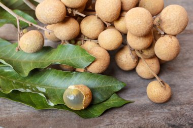 Longan eski ahşap tablo.