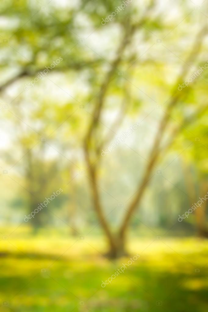 Featured image of post Blur Natural Background Images Hd