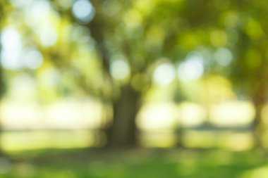 Bulanık doğal ve açık arkaplan.