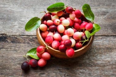 Karanda fruit, Carissa carandas.