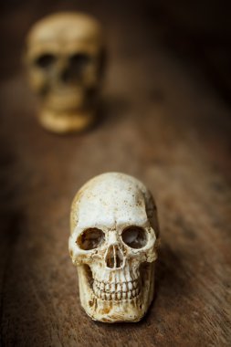 Eski ahşap arka plan üzerinde insan kafatası.