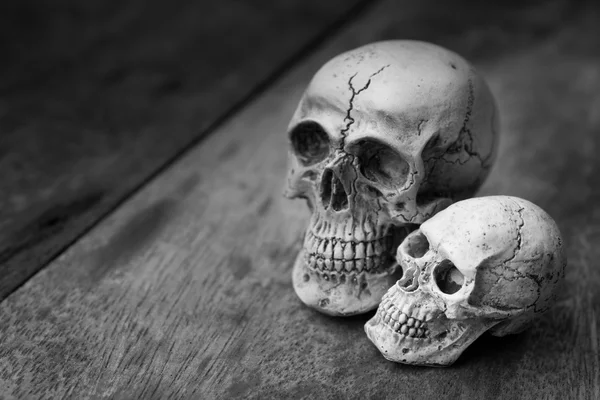 Human skull on old wood background. — Stock Photo, Image