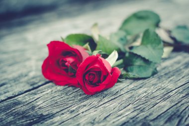 Eski bir ahşap zemin üzerinde uzanmış gül.