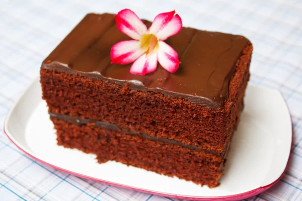 Chocolade fudge cake. — Stockfoto