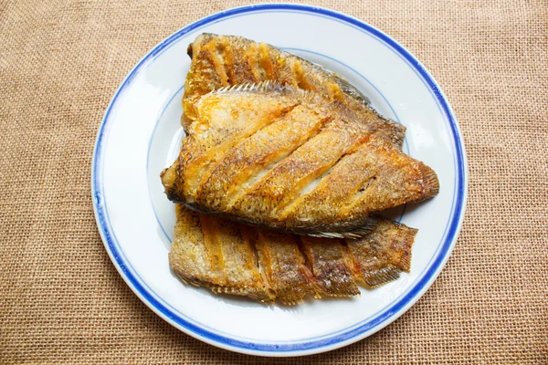 Trichogaster pectoralis peixe frito no prato . — Fotografia de Stock