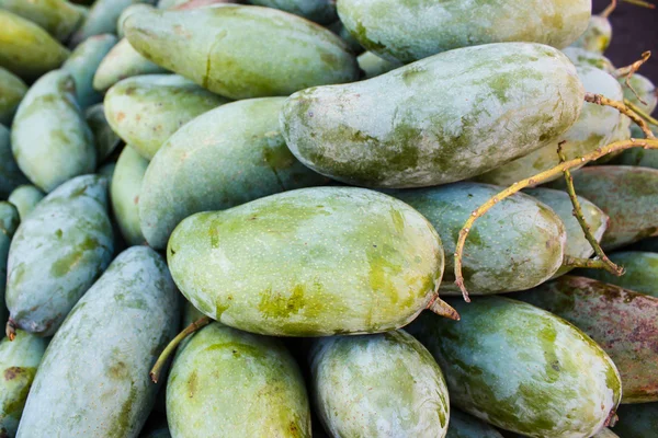 Mangifera indica, färsk mango. — Stockfoto