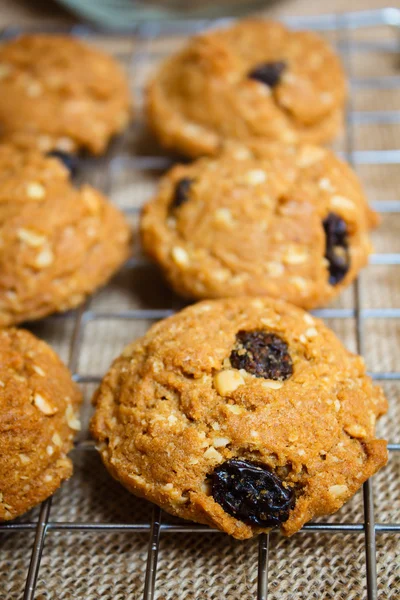 Biscuits aux raisins secs à l'avoine, maison . — Photo