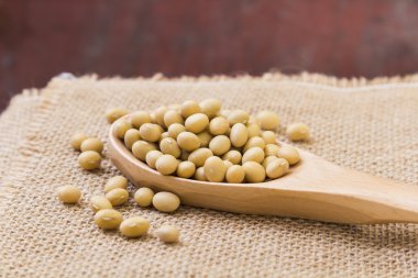 Soya fasulyesi kaşık üzerinde