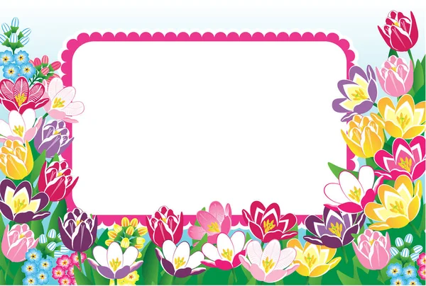 Grüße Vom März Hintergrund Mit Blumen Postkarte Frühlingstag Vergissmeinnicht Schöne — Stockvektor