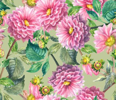 pembe dahlias çiçek seamless modeli