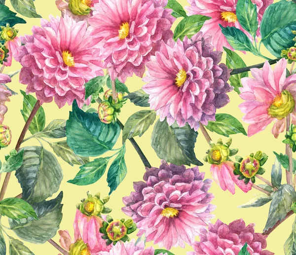 Rosa Dahlias padrão sem costura floral — Fotografia de Stock