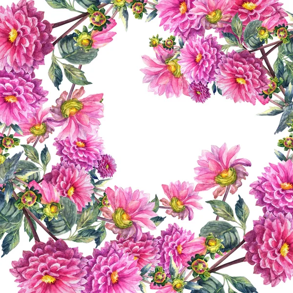 Mooie roze Dahlia's bloemen — Zdjęcie stockowe