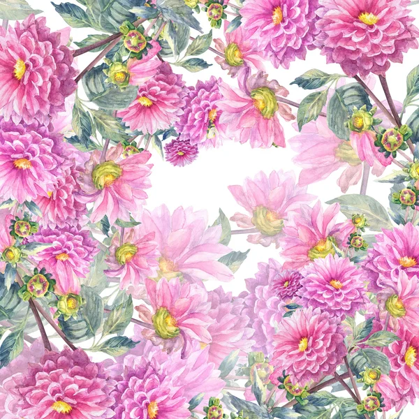 Mooie roze Dahlia's bloemen — Zdjęcie stockowe