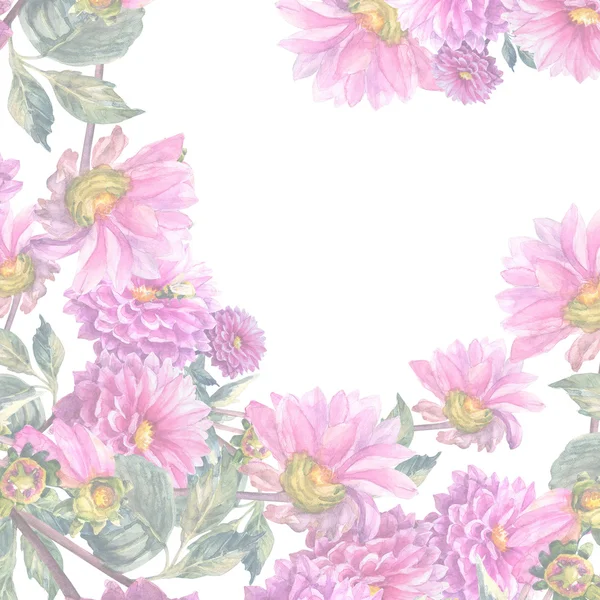 Beautiful Pink Dahlias Flowers — Stock Photo, Image